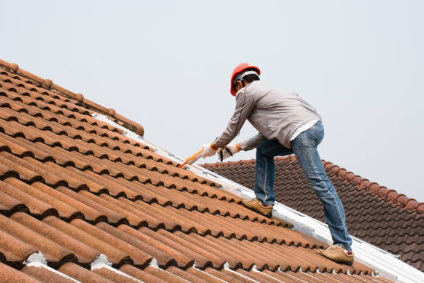 Cold Roofs in Trinity, FL